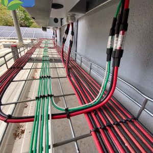 279724311_1980839305433309_4064059566258472055_n